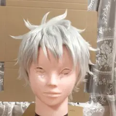 カリム　完成ウィッグ　セット済み　コスプレ 2025年最新】カリム ウィッグの人気アイテム - メルカリ