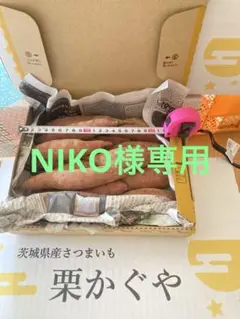 NIKO様専用栗かぐや1.2kg土付きさつまいも