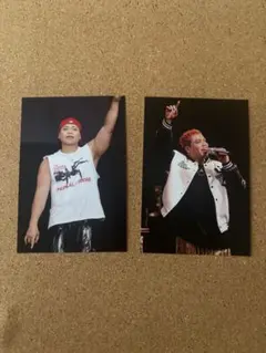 LIKIYA ポストカード　2枚セット