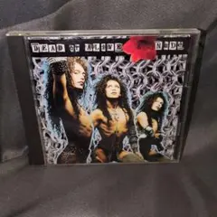 デッド・オア・アライブ NUDE