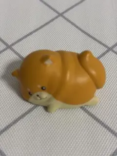 ぺちょっこ。しばぺちょ