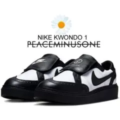 NIKE× PEACEMINUSONE KWOND1※箱無し