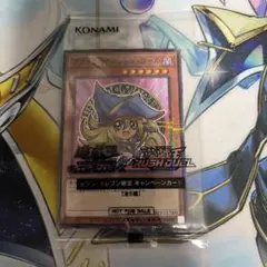 ブラックマジシャンガール　ハイチュウ　コラボ　未開封　ノーパラ　ノーマルパラレル