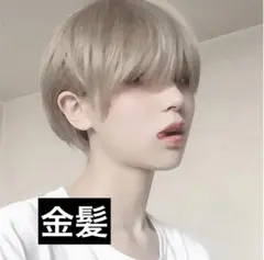 Item thumbnail for item 4d61517c-09c3-4811-ba6f-5e805dfa6098