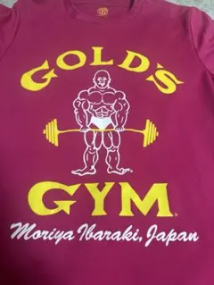 GOLD'S GYM ボディビルダーTシャツ ピンク　Mサイズ