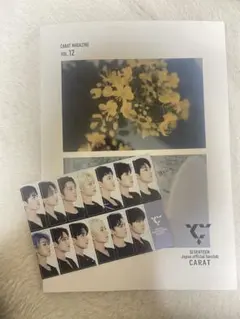 SEVENTEEN CARAT MAGAZINE VOL.12 会報誌