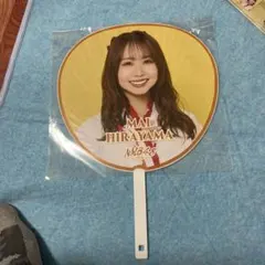 Item thumbnail for item 94c5bea4-8549-4b14-9bac-8f311099f343