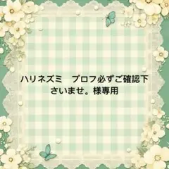 ハリネズミ　プロフ必ずご確認下さいませ。 様　專用