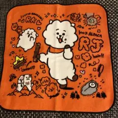 bts bt21 RJ アルパカタオル