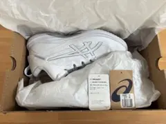 ASICS GELHOOP V17 EXTRA WIDE 27.5cmのサムネイル