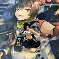 艦これアーケード 祥鳳補強増設ホロ