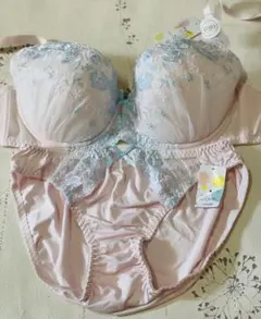 F80 ブラ ショーツ セット ピンク ブルー 刺しゅう G75