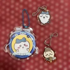 ハチワレ、うさぎ アクリルキーホルダー 3点セット