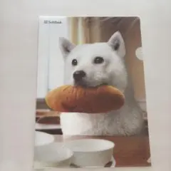 SoftBank 犬とパンのクリアファイル A4