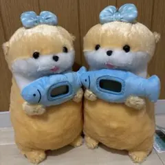 Item thumbnail for item 1dcad343-6ac2-4f93-8d35-60246105803f