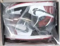 NIKE Air Jordan 1 ミニチュアコレクション　ブラックトゥ　2