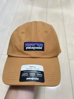 キャップ　patagonia パタゴニア