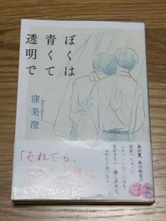 ぼくは青くて透明で 窪美澄 小説