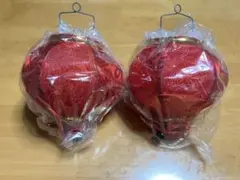 ランタン　ベトナム