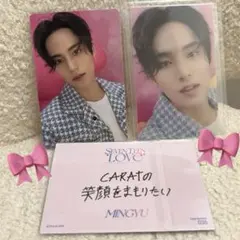SEVENTEEN ミンギュトレカ DREAM