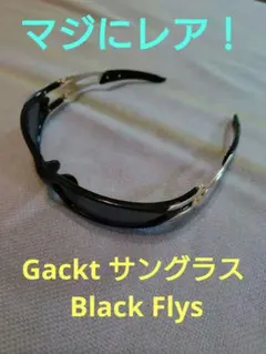 【ファン必見！】Gackt サングラス Black Flys ガクトのサムネイル