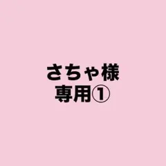 専用出品になります