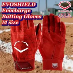 新品 USA エボシールド エボチャージ バッティンググローブ Mサイズのサムネイル
