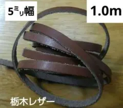 Item thumbnail for item 0cbba5dc-fe54-4bed-82af-5af73d1a3d2d