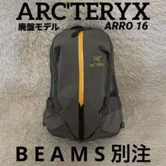 未使用 タグ付き アークテリクス ビームスボーイ MANTIS 26 CRAZY 未使用 タグ付き アークテリクス ビームスボーイ MANTIS 26 CRAZY