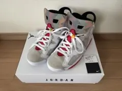 NIKE Air Jordan 6 ヘア　ナイキ　ジョーダン6 27.5cm