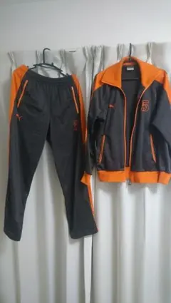 Item thumbnail for item 8716f2fc-c9e8-4d10-8c21-29b608d67427