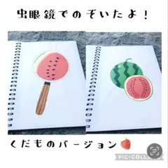 シューティングスター様 リクエスト 2点 まとめ商品