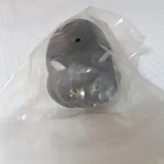 Item thumbnail for item 2d8e26f0-35fd-4fb1-bae9-03cbf586e7c0