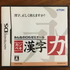 カンペキ漢字力 みんなのDSゼミナール