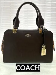 レア】COACH y2k ハンドバッグ レオパード柄 ヒョウ柄 チャーム3つ付