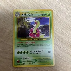 2026年最新】メガメガニウムの人気アイテム - メルカリ