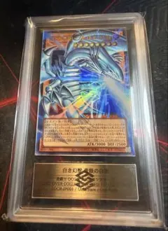 ARS10+】青眼の白龍 qccp 25th レリーフ 鑑定書付き - メルカリ