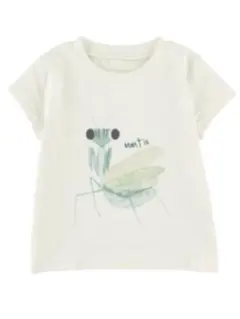 INSECT COLLECTION カマキリ Tシャツ
