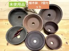 未使用/特価❕常滑焼/植木鉢/いろいろ/7個組　　盆栽鉢/山野草鉢/ガーデニングのサムネイル