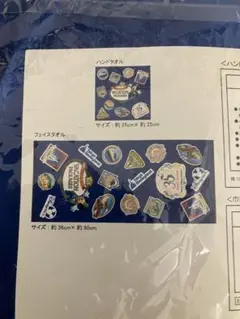 東京ディズニーリゾート バケーションパッケージ フェイスタオル ハンドタオル