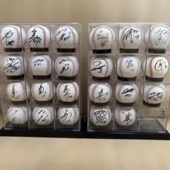 ★コレクター品放出 プロ野球 直筆サインボール まとめ 6個 阪神タイガース ☆コレクター品放出 プロ野球 直筆サインボール まとめ 6個 阪神