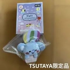 エ15◎蔦屋限定/BTS/bt21ぬいぐるみキーホルダー/KOYA/ナム