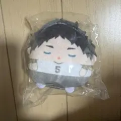 ハイキュー　くじメイト　ぬいくじ　E賞　てのりんずコレクション　赤葦京治