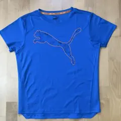 PUMA Tシャツ 青のサムネイル