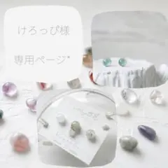 けろっぴ様 リクエスト 2点 まとめ商品