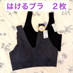 新品　タグ付き　はけるブラ　２枚セット　3L グレー　ブラック　楽々ブラのサムネイル