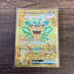 オーガポンみどりのめんex ur