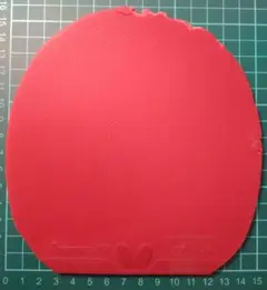 ディグニクス05 張本