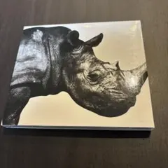 ミスターチルドレン1992
