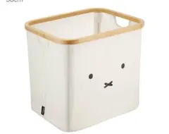 Item thumbnail for item 68895c1d-ef8a-4ddd-b68b-bd8ee66a5bae